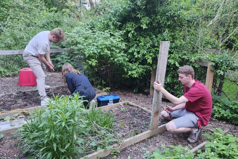 gardening-working-backyard-act-five-summer-residence-2024